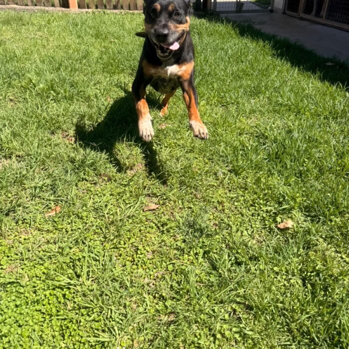 2AE77577-6BD2-4B99-8D48-F933C5375F19