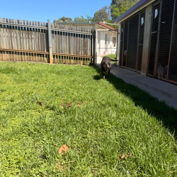 54DCF602-4714-41DB-84A7-9D3CA9A65470