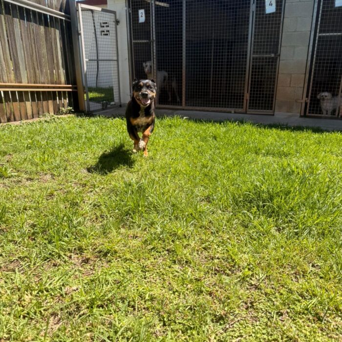 7F8A81BC-A8B6-42CD-B6B7-B7E9E43B7AEF