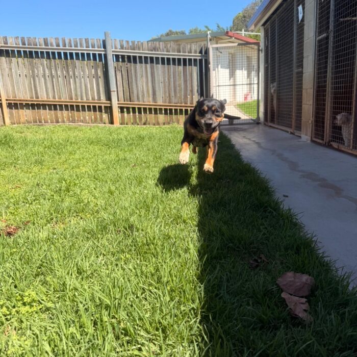 A2FBC776-986D-4A95-9D7C-69FB098F397B