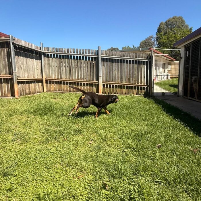 D1C1D29C-5E4A-43B9-911B-9AD4BB5265A4