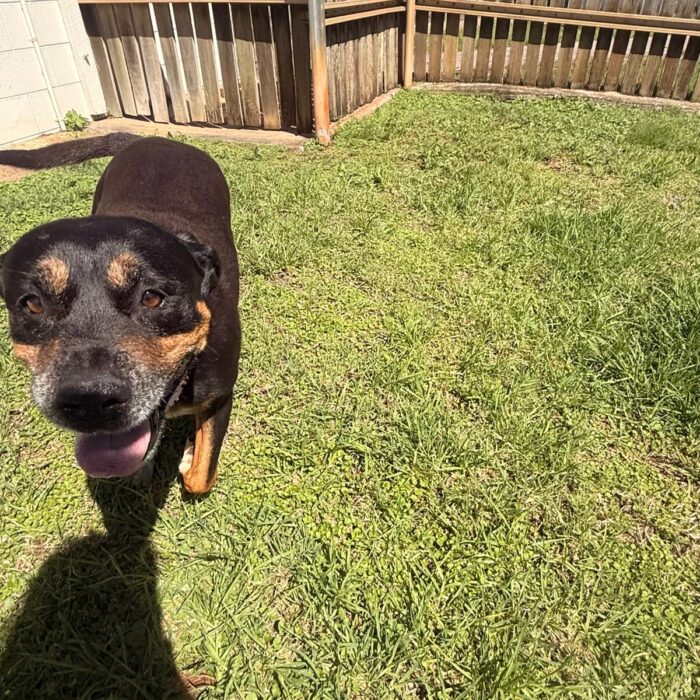 D915CA39-40A9-4502-BB49-198ABBAD9AC1