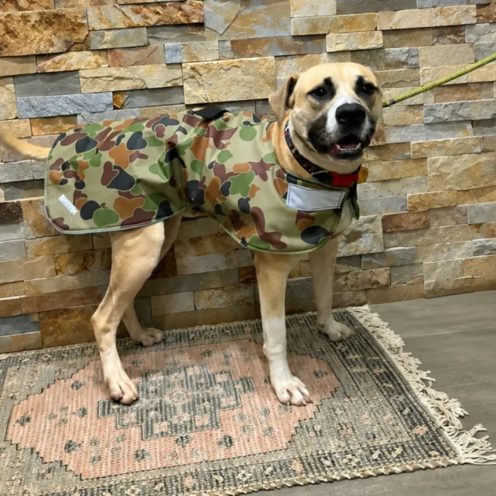 Rex-Rescue-Stories